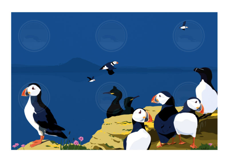 Puffins and Friends Full