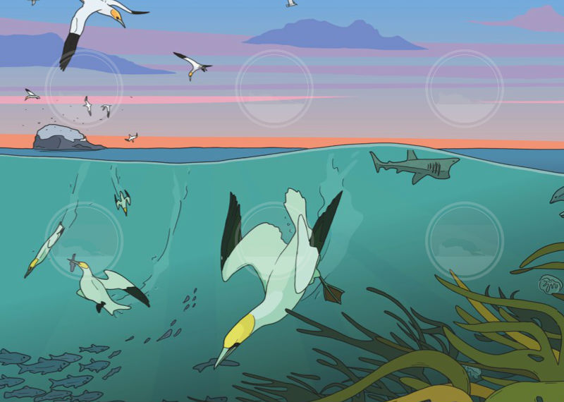 Underwater Scene, North Berwick - Image 2